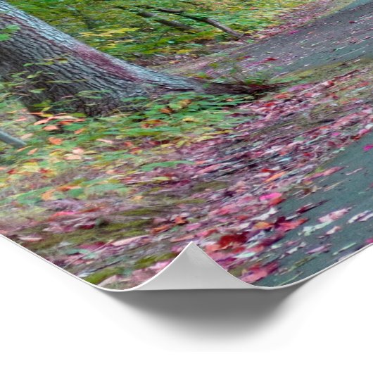 Een loop in het Poster van de Kunst van de Fotogra (Hoek)