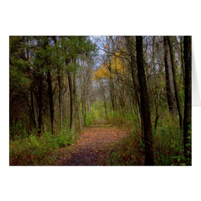 Een loopbaan bij Carriage Hill Preserve #31 (Voorkant Horizontaal)