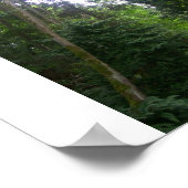 Een loopje in de Bossen Poster (Hoek)