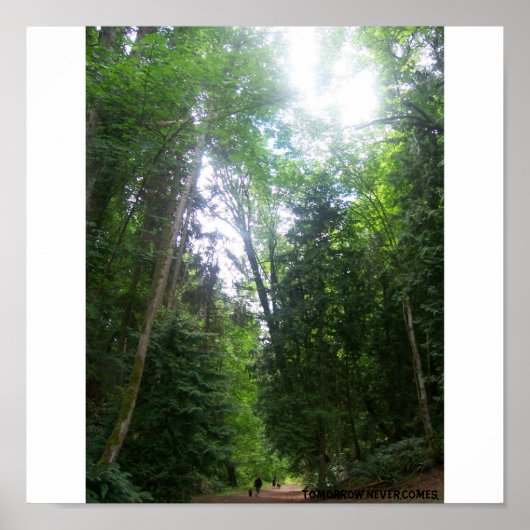 Een loopje in de Bossen Poster (Voorkant)