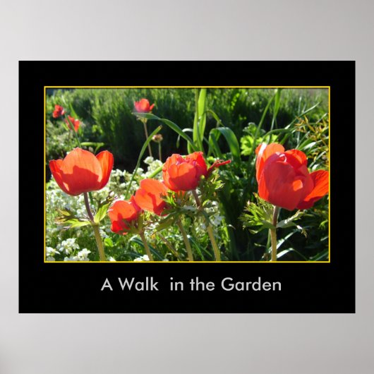 Een loopje in de tuin poster (Voorkant)