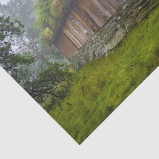 Een luchtkajuit in het bos tissuepapier (Detail)