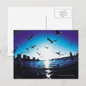 Een luchtvisooglens-uitzicht van Tokyo Bay, Japan Briefkaart (Voorkant / Achterkant)