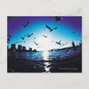 Een luchtvisooglens-uitzicht van Tokyo Bay, Japan Briefkaart