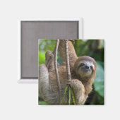 Een luie magneet (Voorkant / Achterkant)