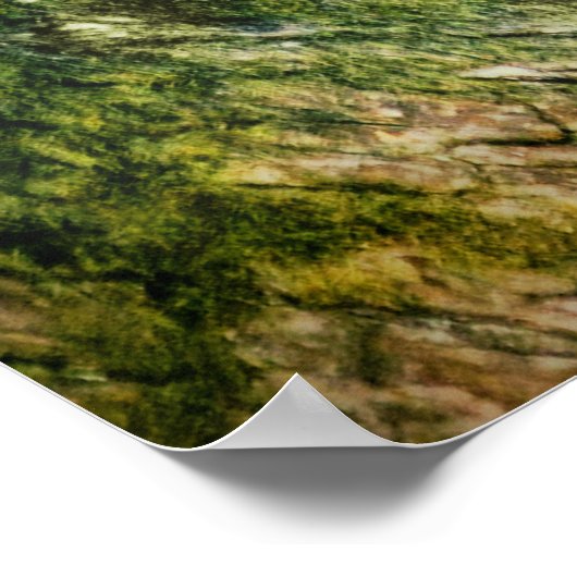 Een luipaard — Night Sky-druk Poster (Hoek)