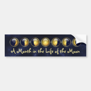 Een maand in het leven van de maan Bumpersticker