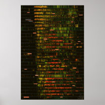 Een maand van Yellowstone-geluiden