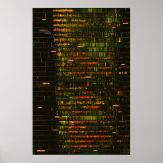 Een maand van Yellowstone-geluiden Poster