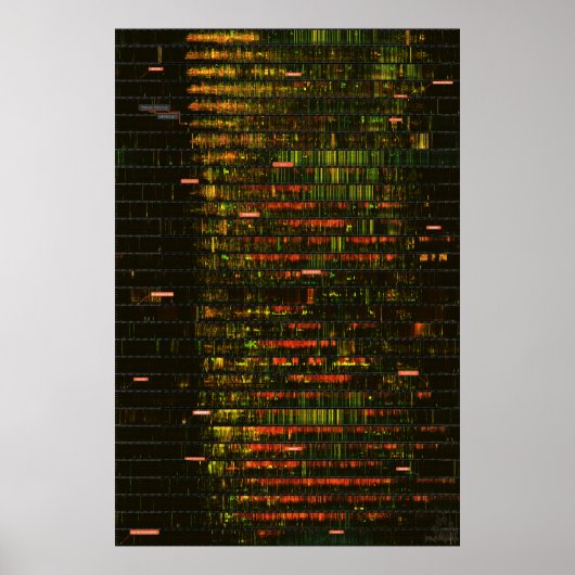 Een maand van Yellowstone-geluiden Poster (Voorkant)