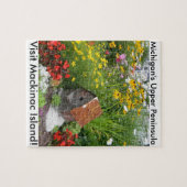 Een Mackinac Island Flower Garden Legpuzzel (Horizontaal)
