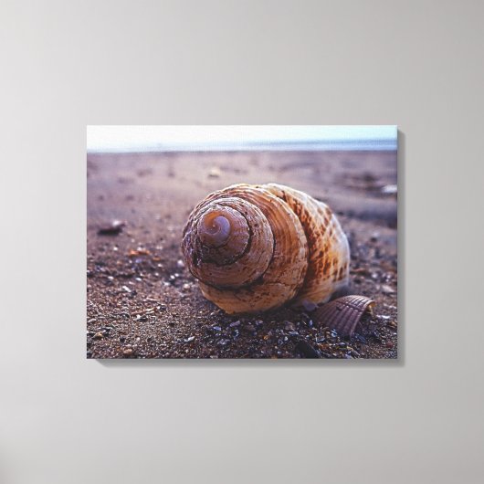 Een macroUitzicht van een wervelkolom Canvas Afdruk (Voorkant)