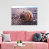 Een macroUitzicht van een wervelkolom Canvas Afdruk (Insitu (Woonkamer))