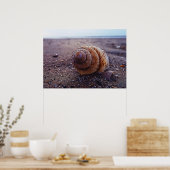 Een macroUitzicht van een wervelkolom Poster (Keuken)