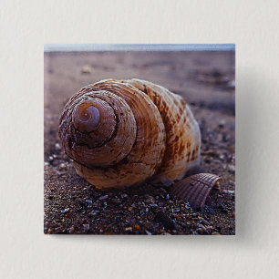 Een macroUitzicht van een wervelkolom Vierkante Button 5,1 Cm