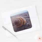 Een macroUitzicht van een wervelkolom Vierkante Sticker (Envelop)