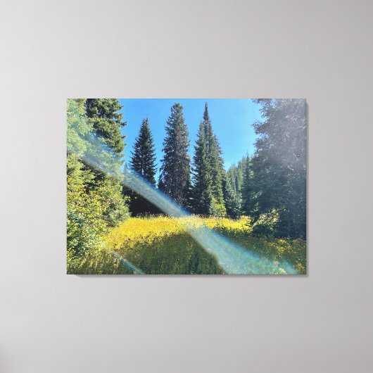 Een magisch bos canvas (Voorkant)