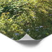 Een Magisch Bos Poster (Hoek)