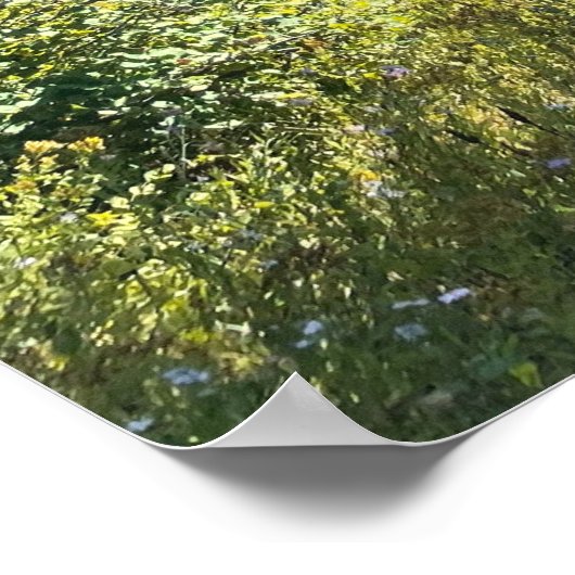 Een Magisch Bos Poster (Hoek)