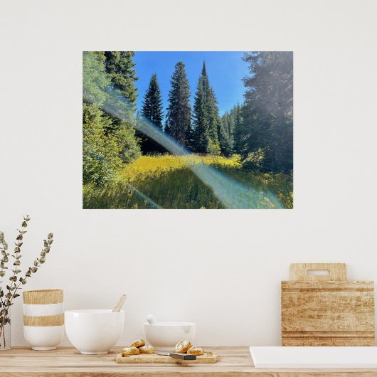 Een Magisch Bos Poster (Keuken)