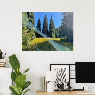 Een Magisch Bos Poster
