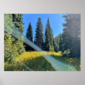 Een Magisch Bos Poster (Voorkant)