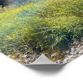 Een magisch weide Poster (Hoek)