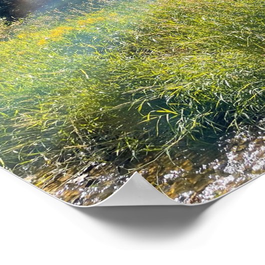 Een magisch weide Poster (Hoek)