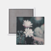 Eén Magneet (Voorkant / Achterkant)