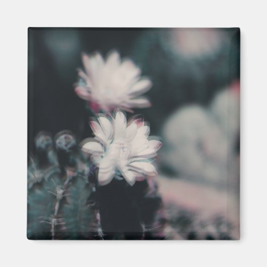 Eén Magneet (Voorkant)