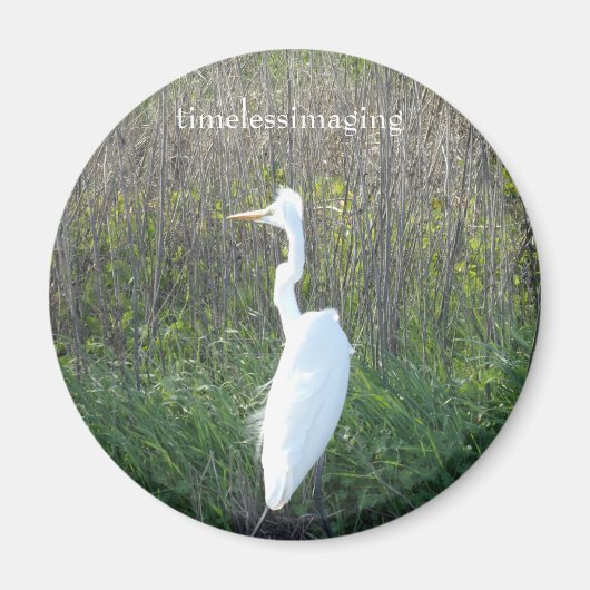 Een magnetronkel, een foto van een witte kraan. magneet (Voorkant)