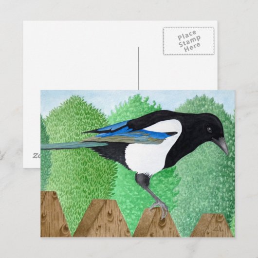Een Magpie op een hek Briefkaart (Voorkant / Achterkant)
