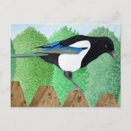 Een Magpie op een hek Briefkaart