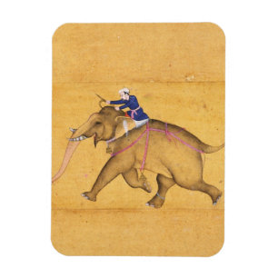 Een Mahout die een olifant bestuurt, van de Grote  Magneet