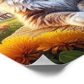 Een Maine Coon-kat die rust op een rustig plattela Poster (Hoek)