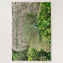 Een majestueus moment ontvouwd - stille Ember-puzz