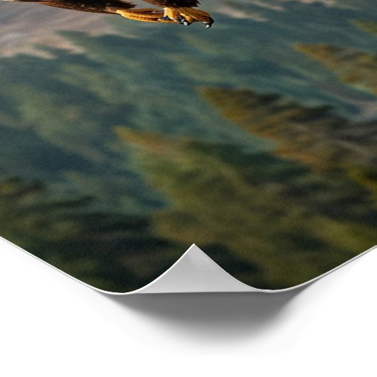 Een majestueuze adelaar zweeft trots in een close- poster (Hoek)