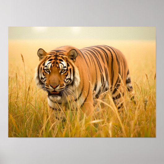 Een Majestueuze Bengaalse Tijger Poster (Voorkant)