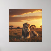Een majestueuze leeuw loungen op een grazige savan canvas afdruk (Voorkant)
