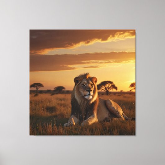 Een majestueuze leeuw loungen op een grazige savan canvas afdruk (Voorkant)