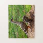 Een Mallard Duck en haar Duckling Jigsaw puzzel (Verticaal)