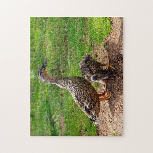 Een Mallard Duck en haar Duckling Jigsaw puzzel (Verticaal)