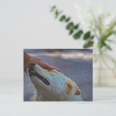 Een man en zijn hond, briefkaart (Staand voorkant)