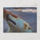 Een man en zijn hond, briefkaart (Voorkant)