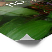 Een man kan niet meer doen, hij kan het poster van (Hoek)