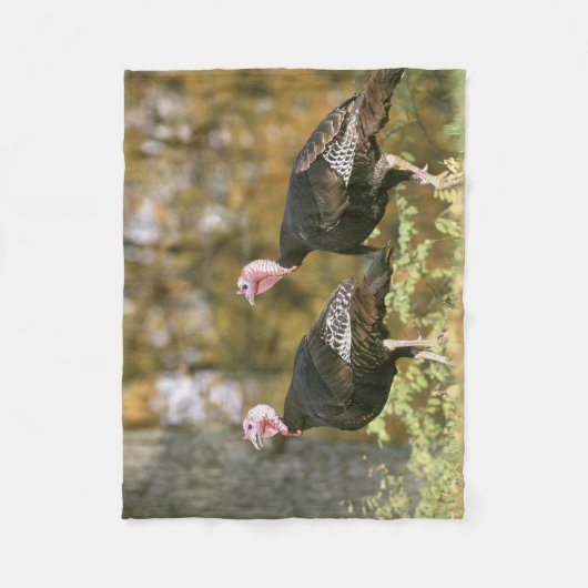 Een mannelijk Vrouw Turkije foto in Herfst Fleece Deken (Voorkant)