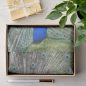 Een mannelijke Indische Peacock Fans, het zijn sta Tissuepapier (Geschenk)