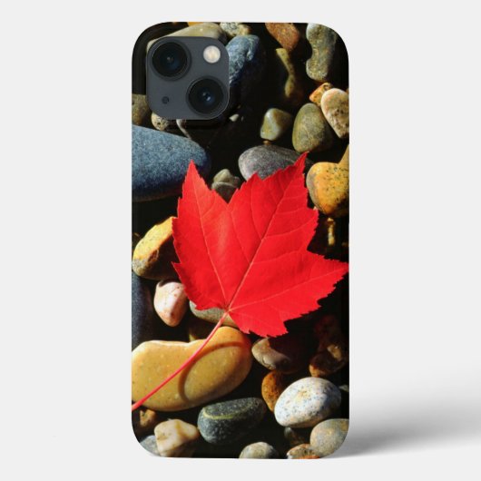 Een Maple-blad op een achtergrond Case-Mate iPhone Case (Achterkant)