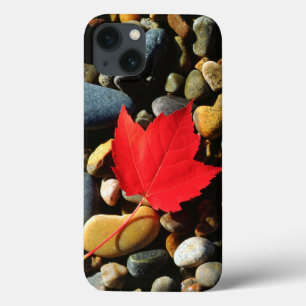 Een Maple-blad op een achtergrond iPhone 13 Hoesje