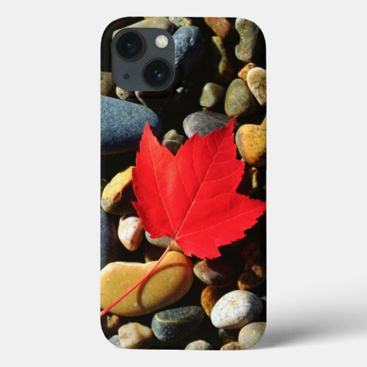 Een Maple-blad op een achtergrond Case-Mate iPhone Case (Achterkant)